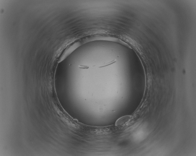 X0000073720345200608171209