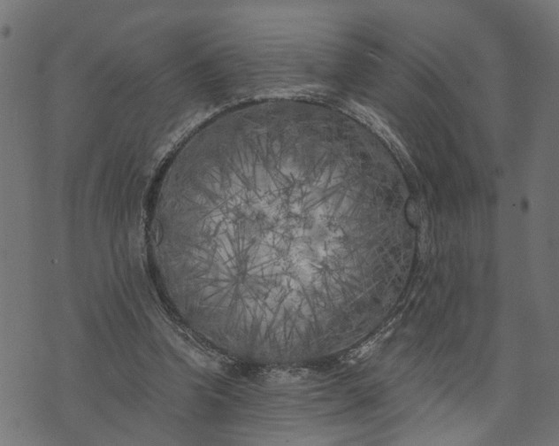 X0000073720346200608171209