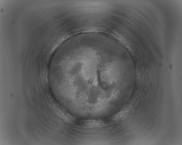 X0000073720347200608171209