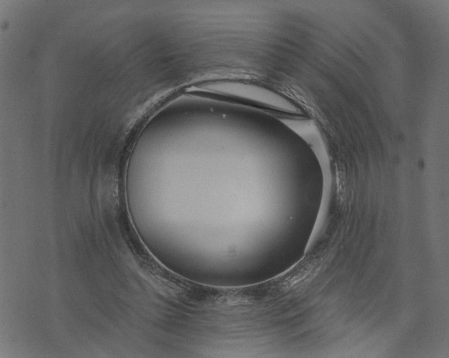 X0000073720348200608171209