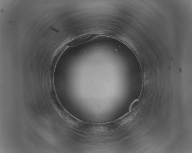 X0000073720349200608171209