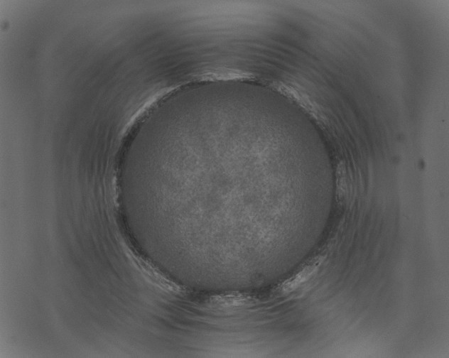 X0000073720351200608171209