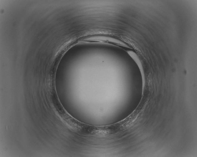 X0000073720352200608171209