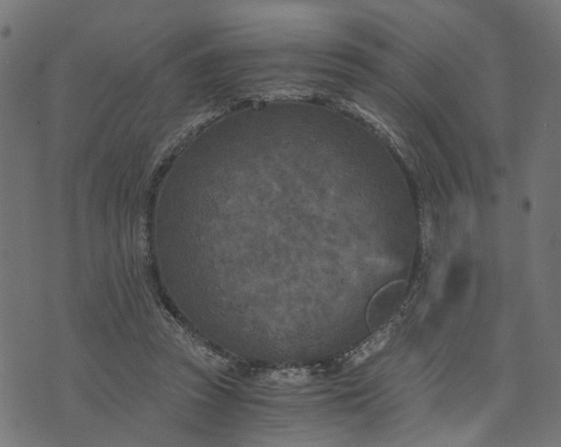 X0000073720353200608171209