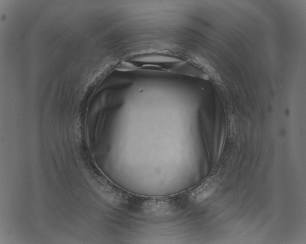 X0000073720354200608171209