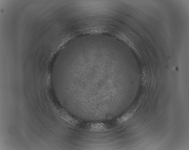 X0000073720355200608171209