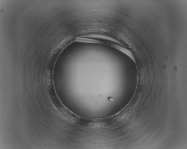 X0000073720356200608171209