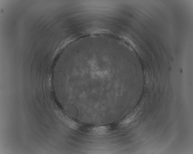 X0000073720357200608171209