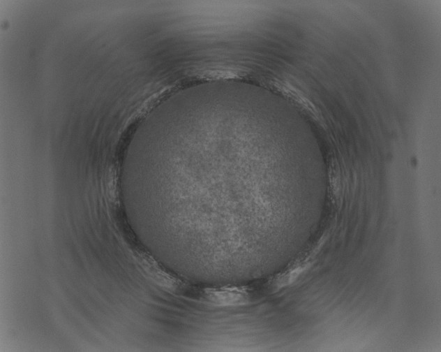 X0000073720359200608171209