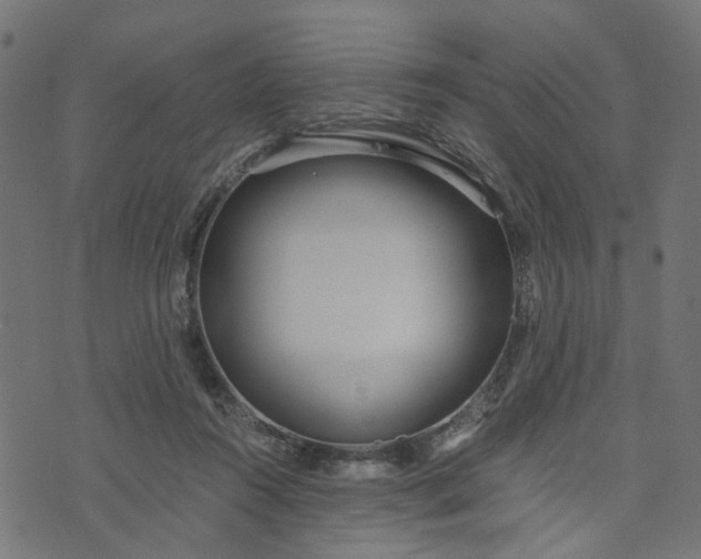 X0000073720360200608171209