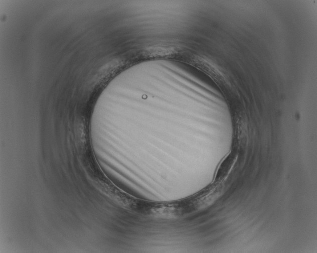 X0000073720362200608171209