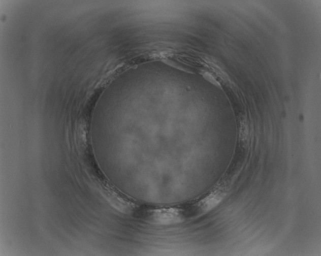 X0000073720363200608171209