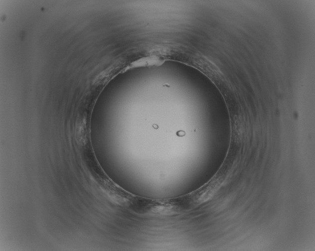 X0000073720364200608171209