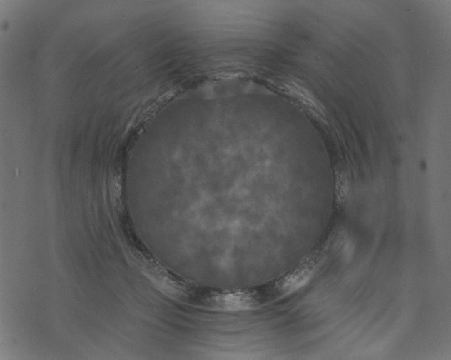 X0000073720365200608171209