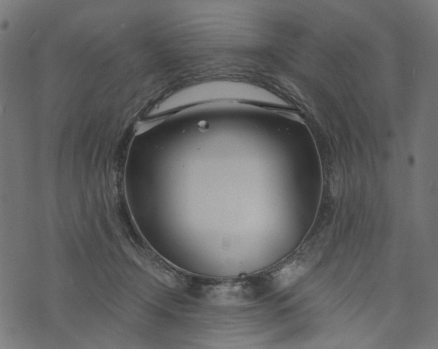 X0000073720366200608171209