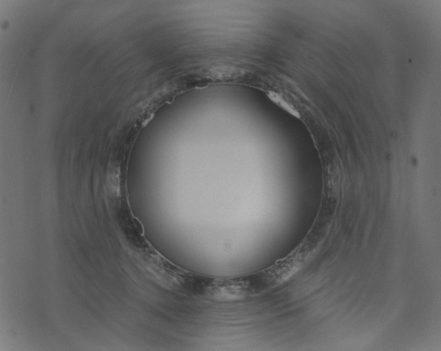 X0000073720368200608171209