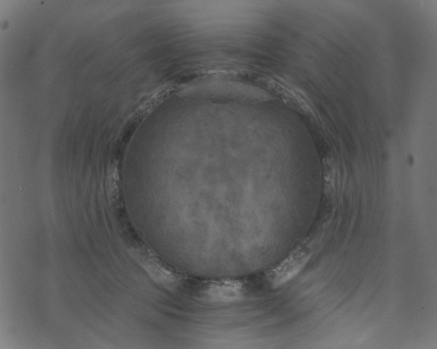 X0000073720369200608171209