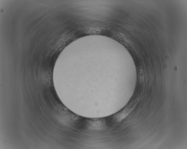 X0000073720370200608171209