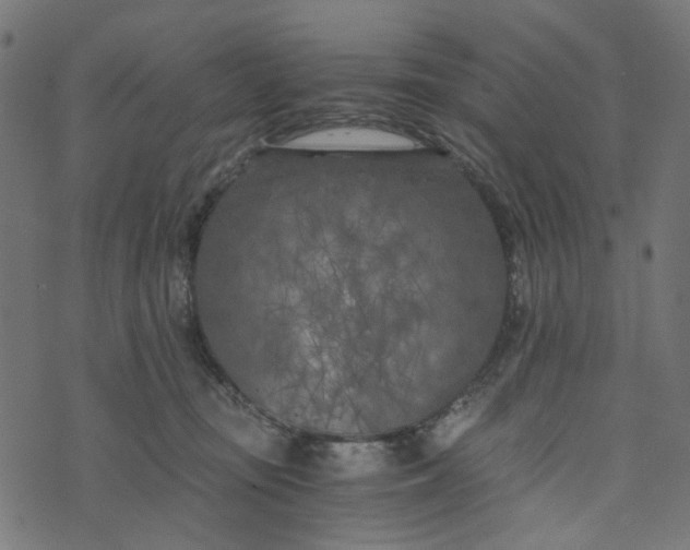 X0000073720371200608171209