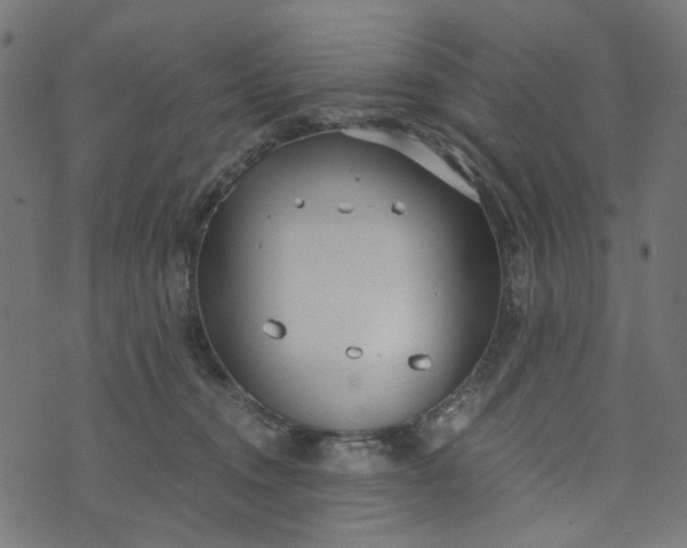 X0000073720372200608171209