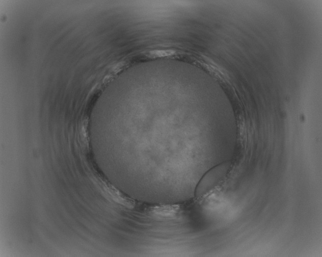 X0000073720373200608171209