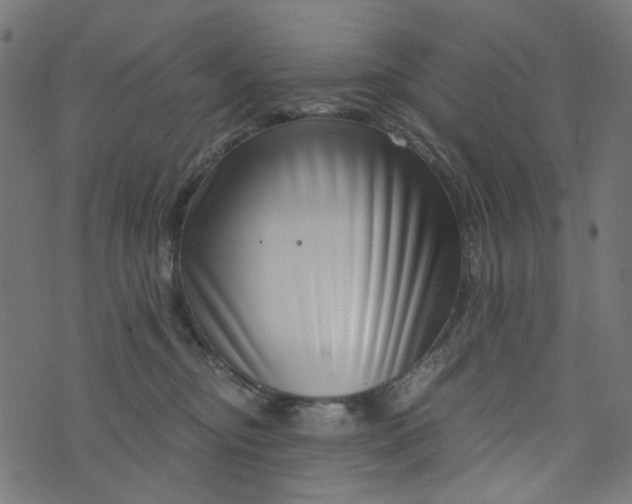 X0000073720374200608171209