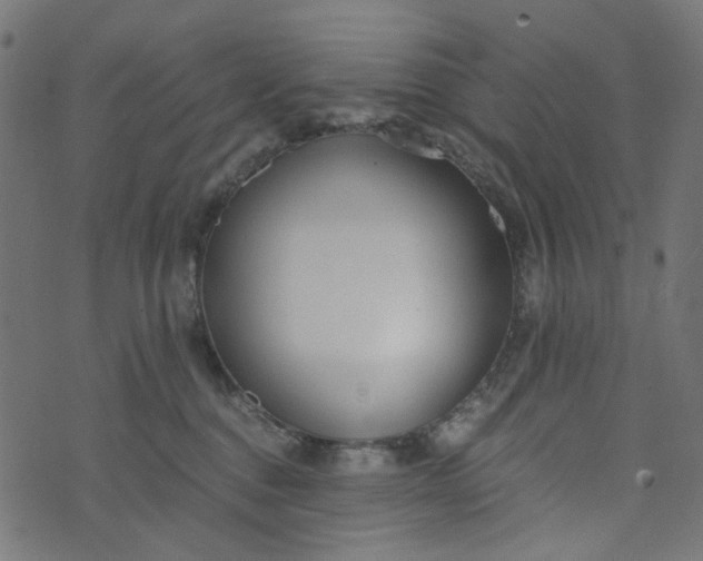 X0000073720376200608171209