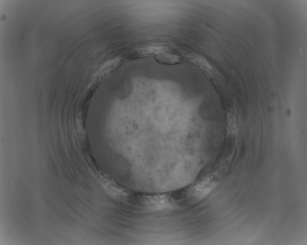 X0000073720377200608171209