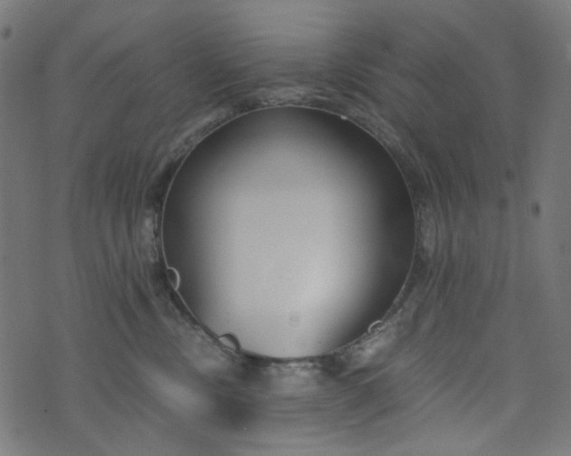 X0000073720378200608171209