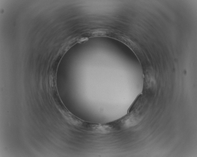 X0000073720379200608171209