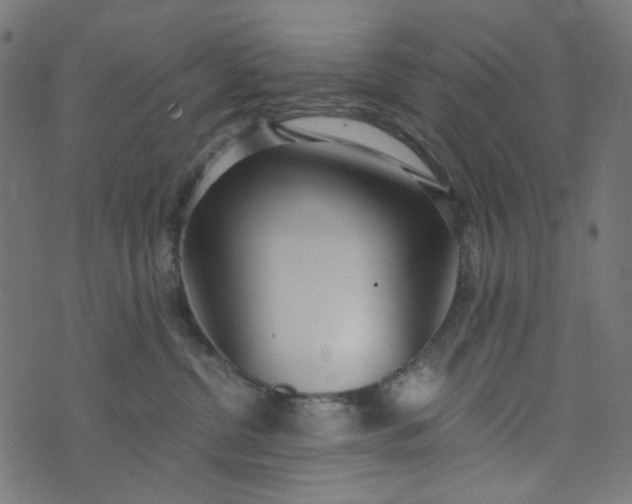 X0000073720380200608171209