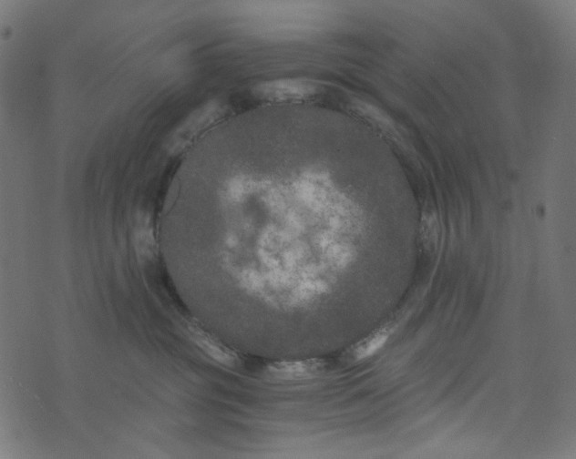 X0000073720381200608171209