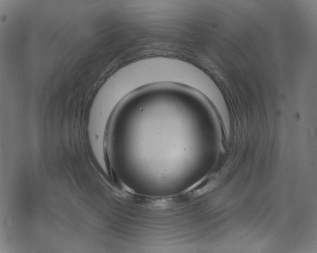 X0000073720382200608171209