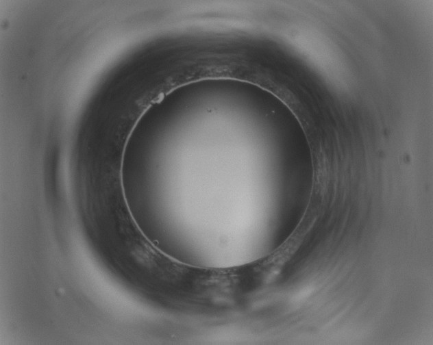 X0000073720383200608171209