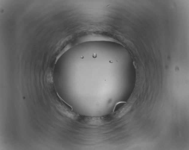 X0000073720384200608171210