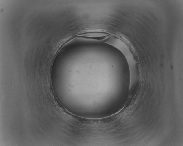 X0000073720385200608171209