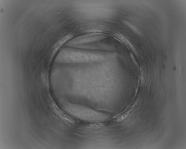 X0000073720386200608171209