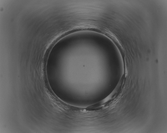 X0000073720387200608171209