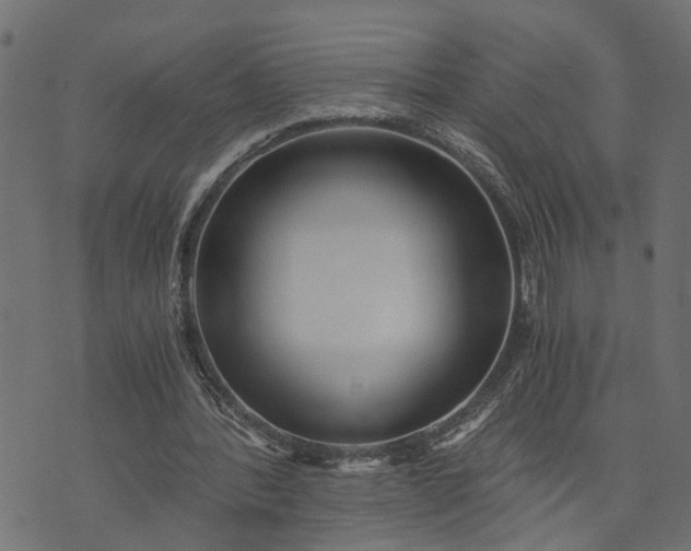 X0000073720388200608171209