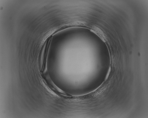 X0000073720389200608171209