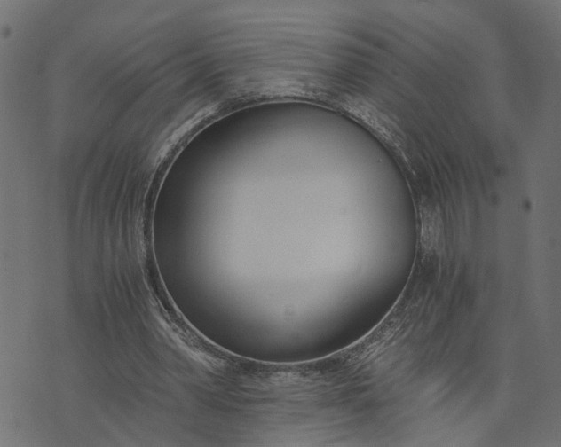 X0000073720390200608171209