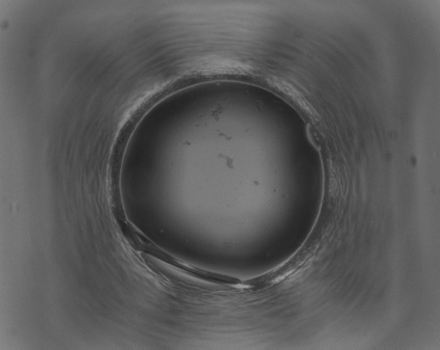 X0000073720391200608171209