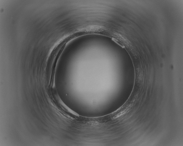 X0000073720392200608171209