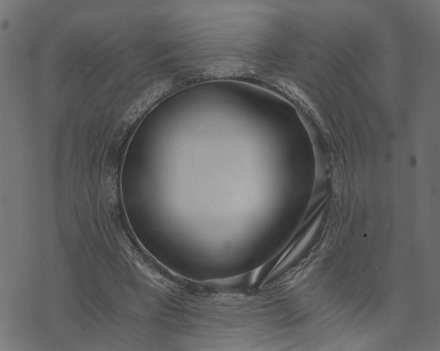 X0000073720393200608171209