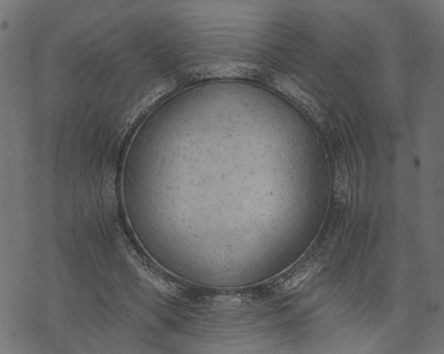 X0000073720394200608171209