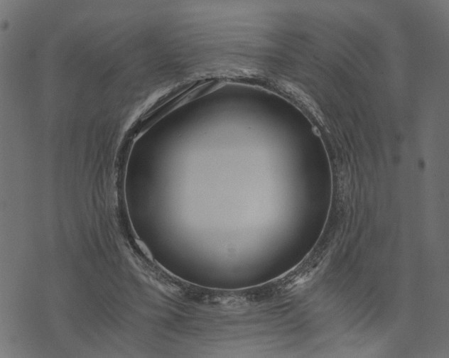 X0000073720395200608171209