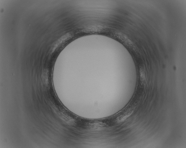 X0000073720396200608171209