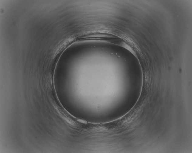 X0000073720397200608171209