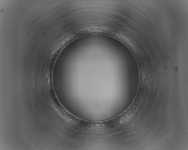 X0000073720398200608171209