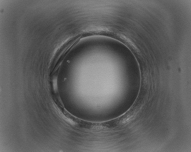 X0000073720399200608171208